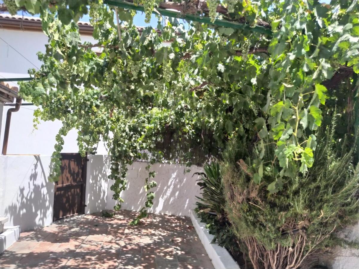 蒙特弗里奥La Casa Del Ingles别墅 外观 照片